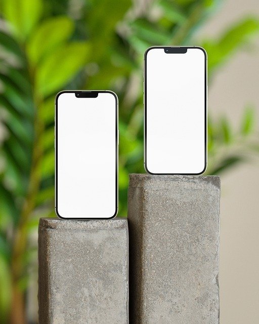 The Identity Cloud from Saviynt: Your SAP Identity Management (IDM) Replacement